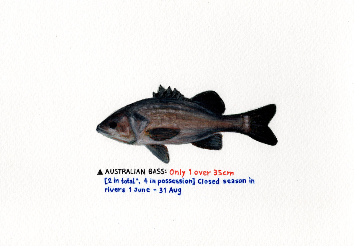"Bass" Original