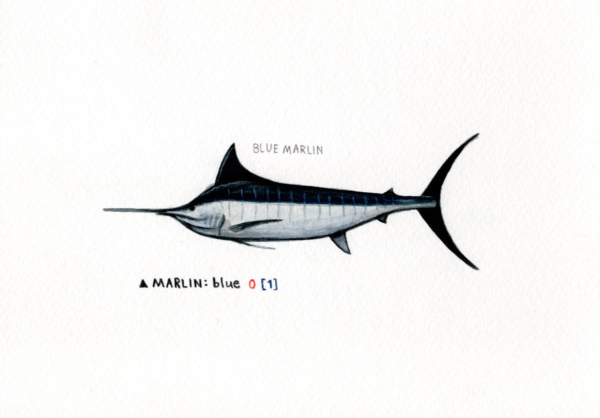 "Marlin" Original