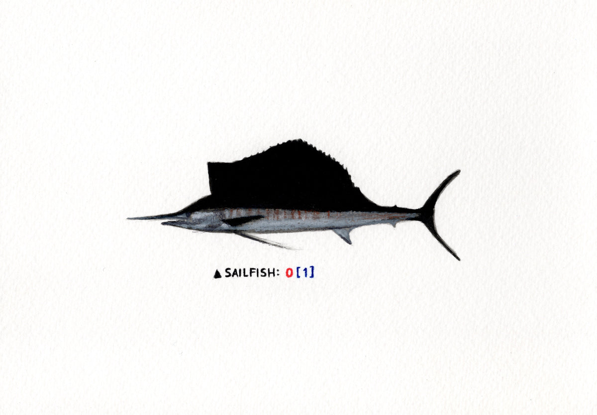 "Sailfish" Original