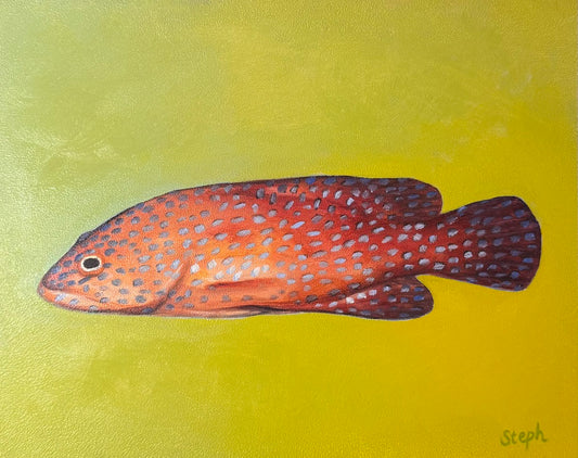 "Coral Cod" Original
