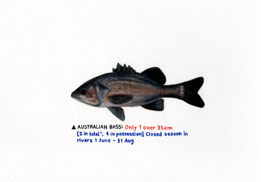 "Bass" Original