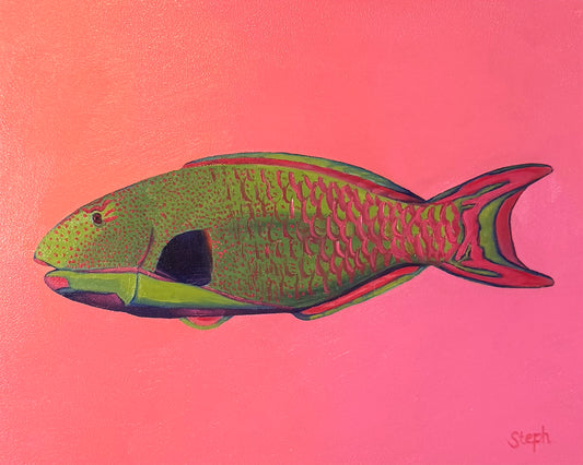 "Bicolour Parrotfish" Original