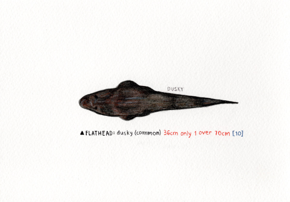 "Flathead" Original