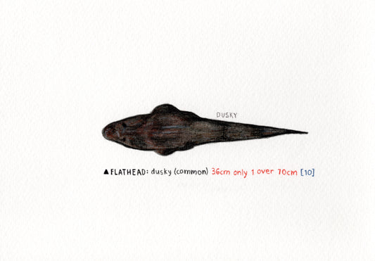 "Flathead" Original