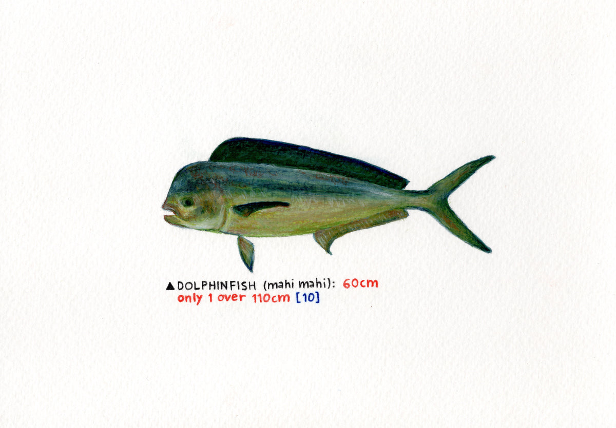 "Mahi Mahi" Original