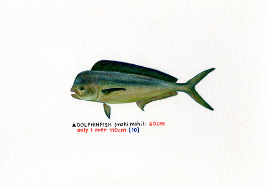 "Mahi Mahi" Original