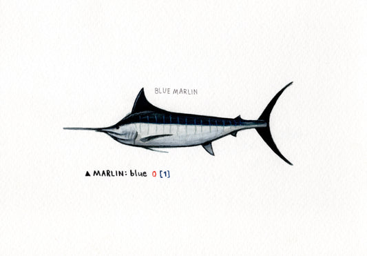 "Marlin" Original