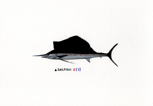 "Sailfish" Original
