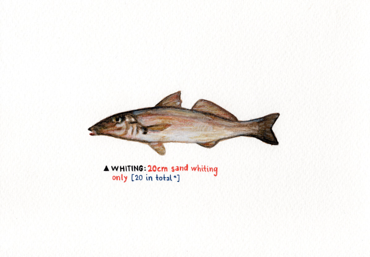 "Whiting" Original